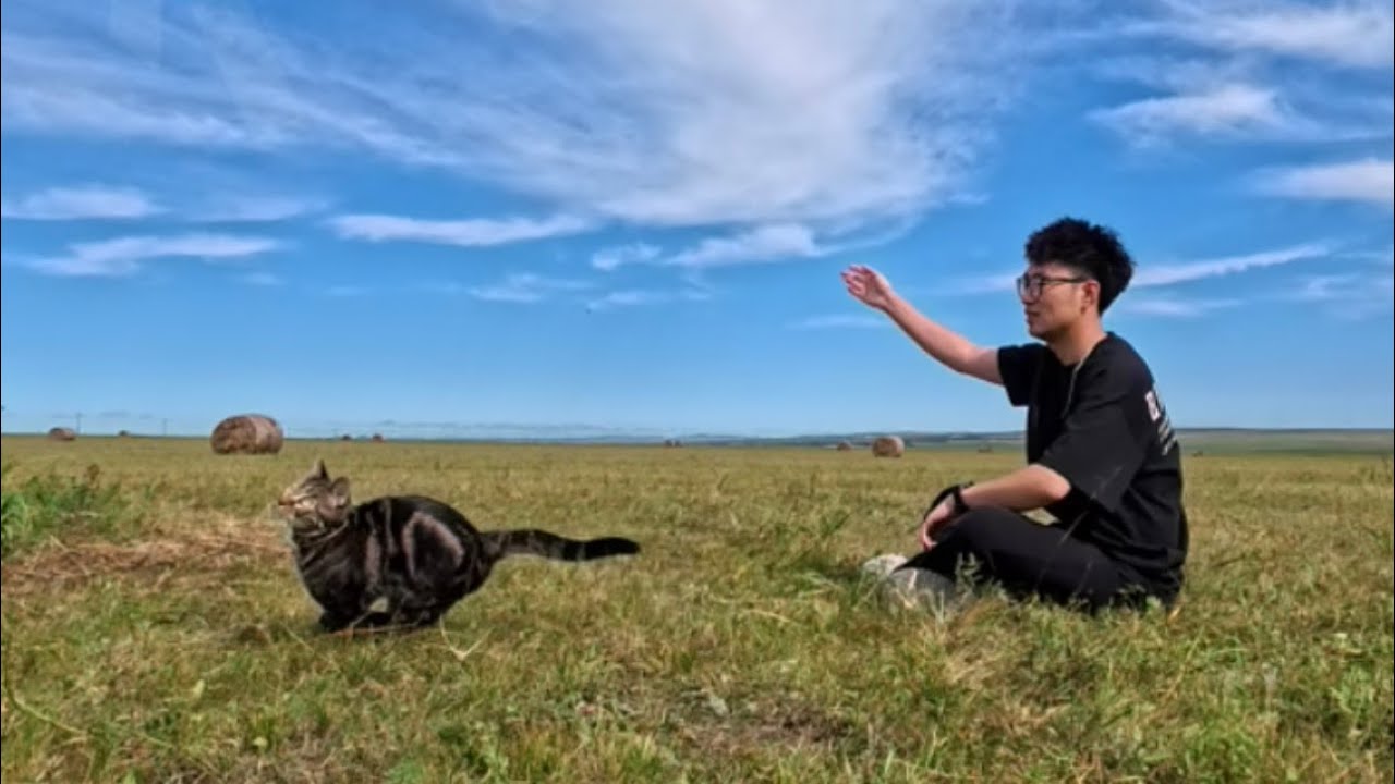 Traveling around the world with a cat，Hulunbuir, China，带猫环游世界，中国呼伦贝尔