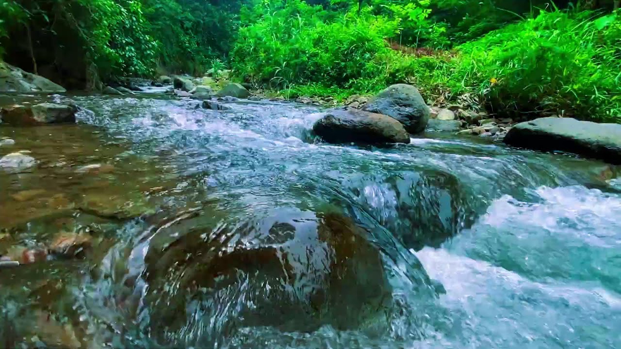 Глубокий сон гарантирован 😴 Бурная горная река среди леса