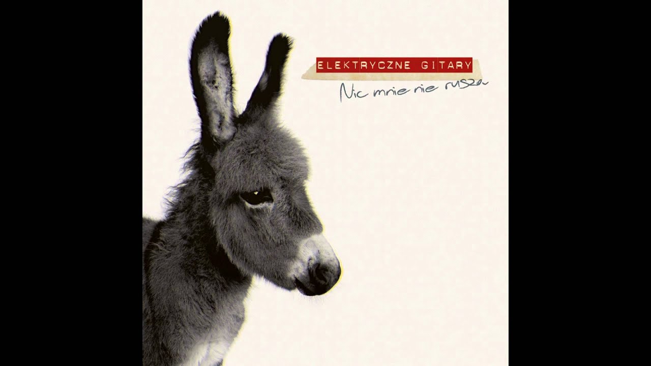 Elektryczne Gitary - Nic mnie nie rusza (audio)