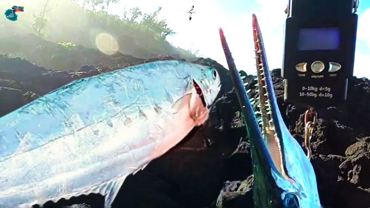 Pêche du Bord De Mer🐟 1 Spot Magnifique #fishing974