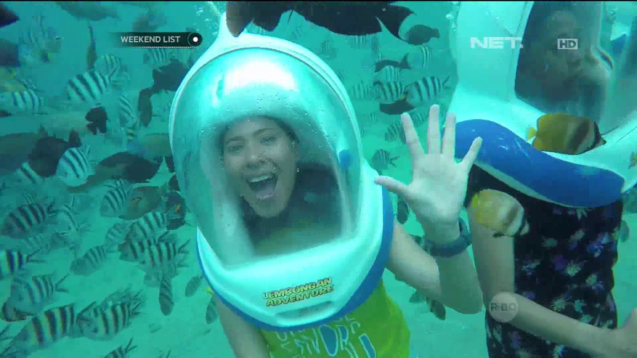 Weekend List - Melihat Indahnya Dasar Laut di Bali Marine Walk Bali