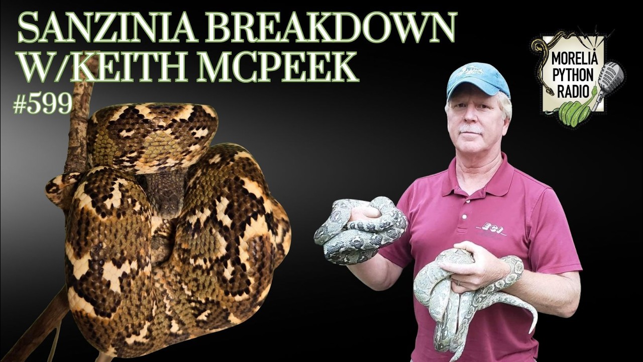 MPR 599 Sanzina Breakdown w/Keith McPeek
