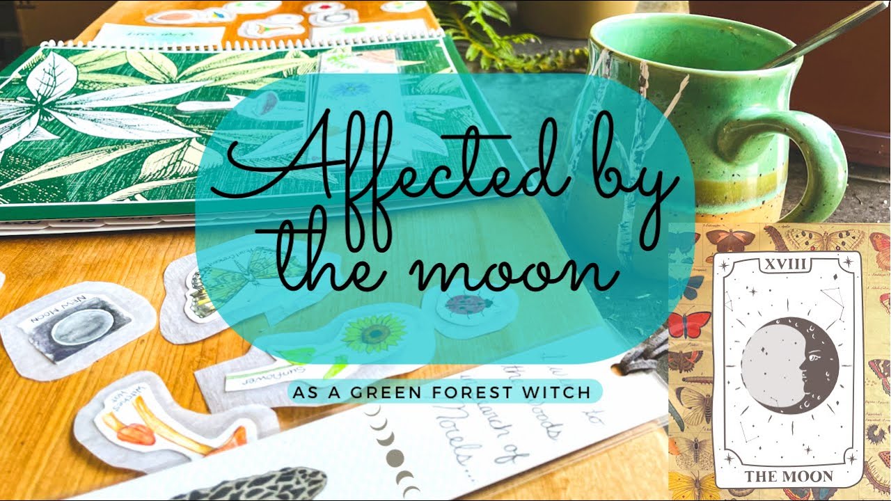 How to Work With the Moon Phases | The Witch and The Moon