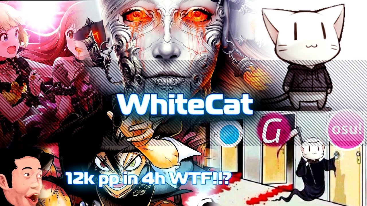 КТО ТАКОЙ WhiteCat? ЧИТЕР ИЛИ ЛЕГИТ? | ИСТОРИЯ ИГРОКА [ENG SUB]