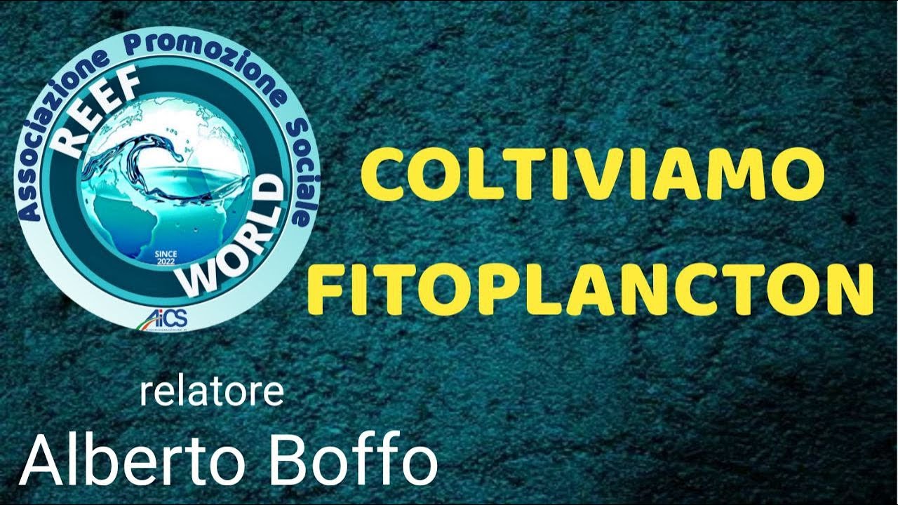 Coltiviamo fitoplancton di Alberto Boffo by Reef-World