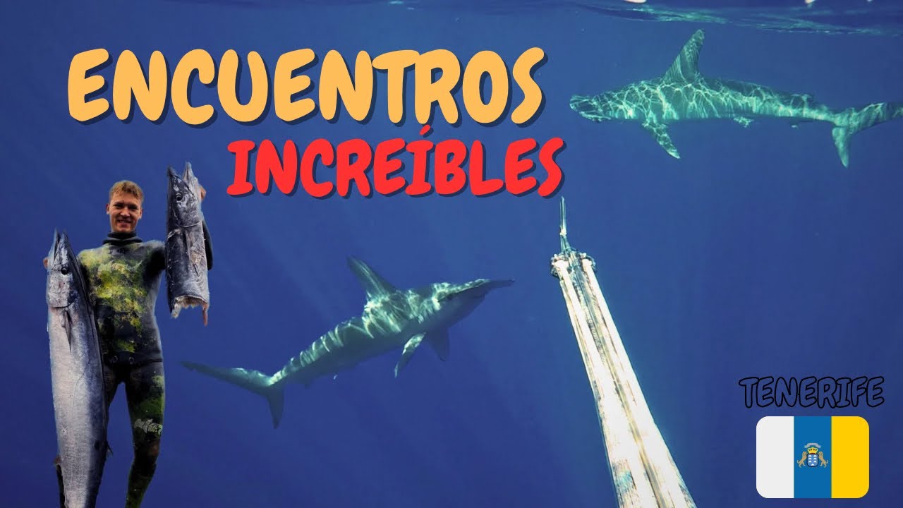 ¡Encuentros sorprendentes mientras practico pesca submarina! 🦈🔥