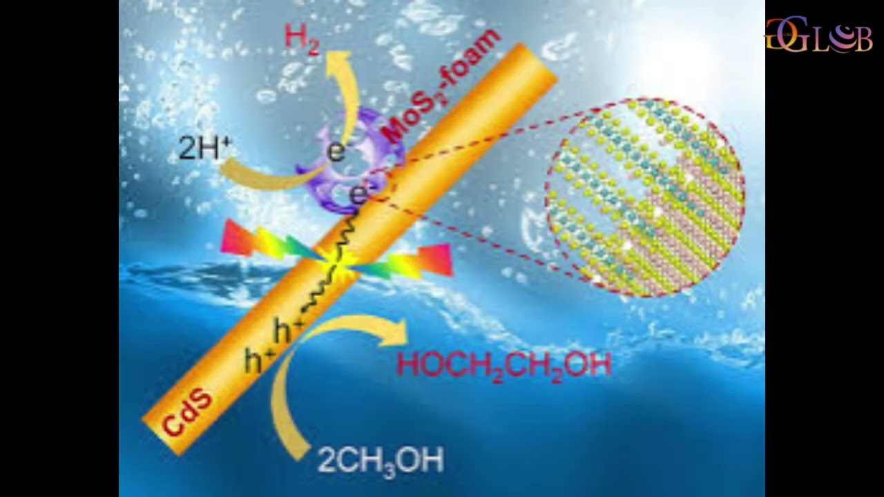 Yeast cell factory converts methanol into L lactate for biodegradable plastics  