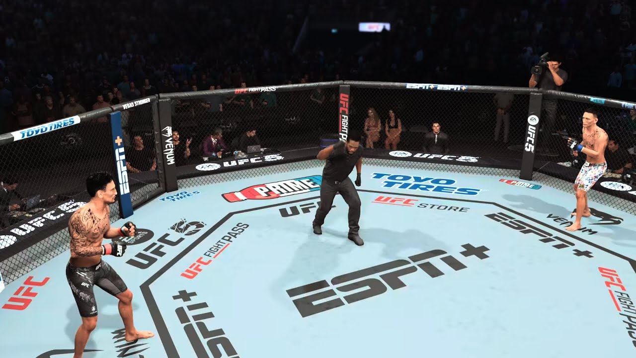 Fast KO UFC 5 (Online quick fight)
