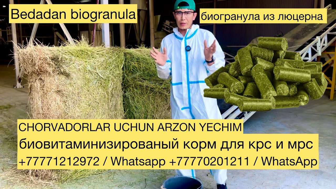 Бедадан гранула, из Люцерна биогранулы по снг  +77771212972 +77770201211 / WhatsApp