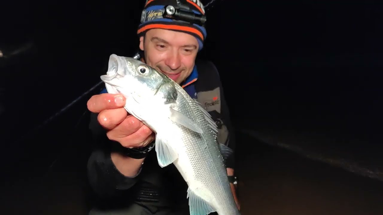 Captura e solta de Robalo - Surcasting