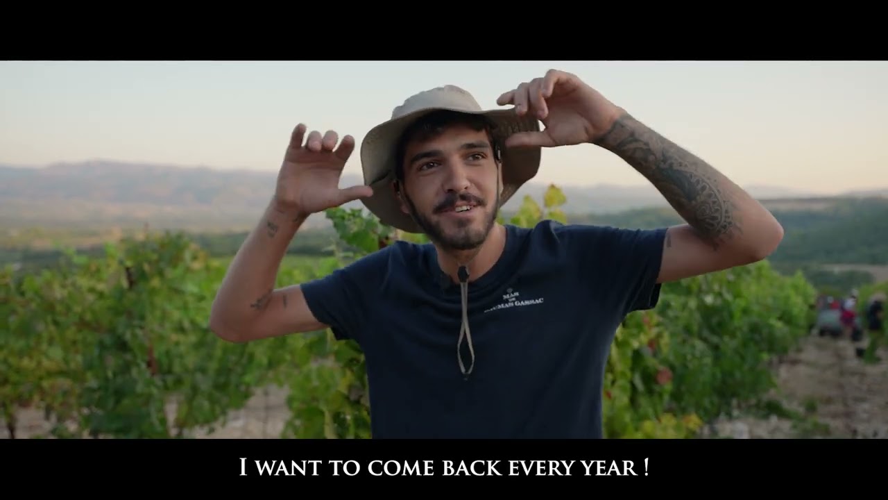 Mas de Daumas Gassac - Vendanges 2022