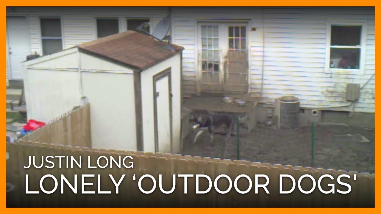 Justin Long Gives Voice to Lonely 'Outdoor Dogs'