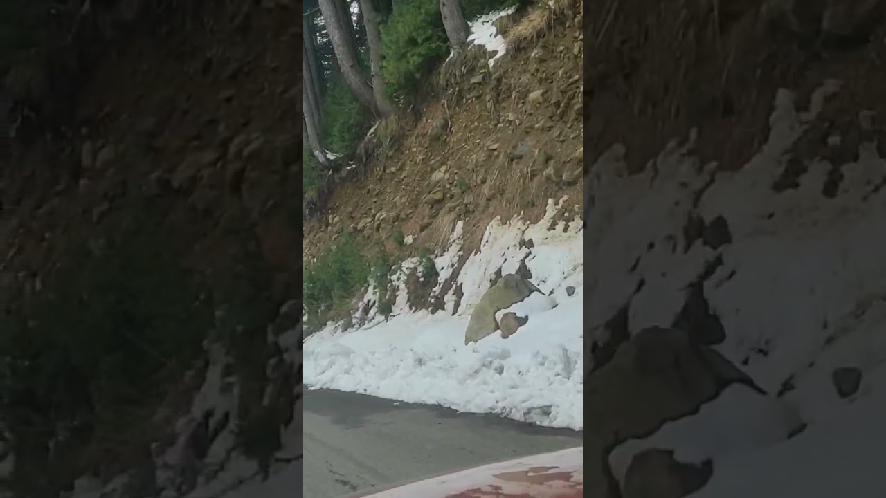 Bhaderwah