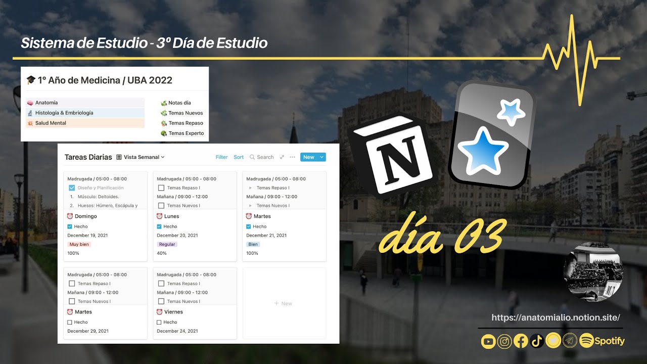 Notion en Medicina - D&iacute;a 3&ordm; de Estudio