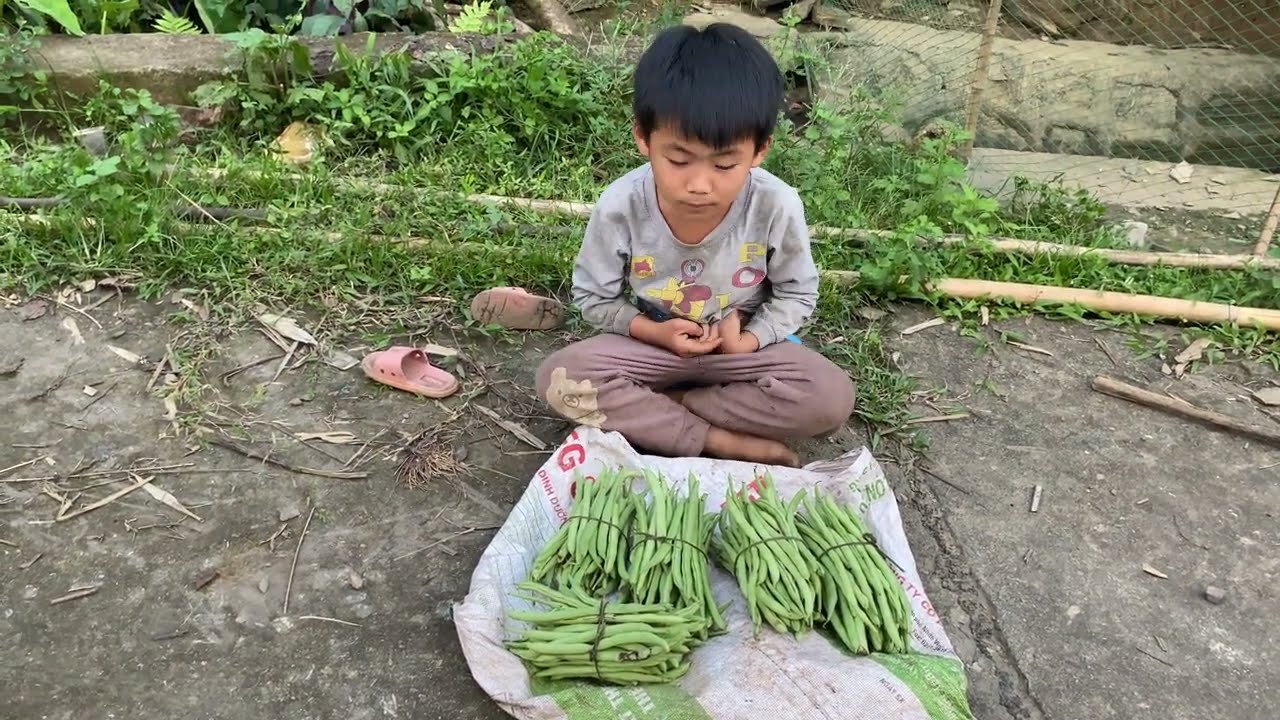 Today two brothers picked beans to sell. On the way back they saw an abandoned baby