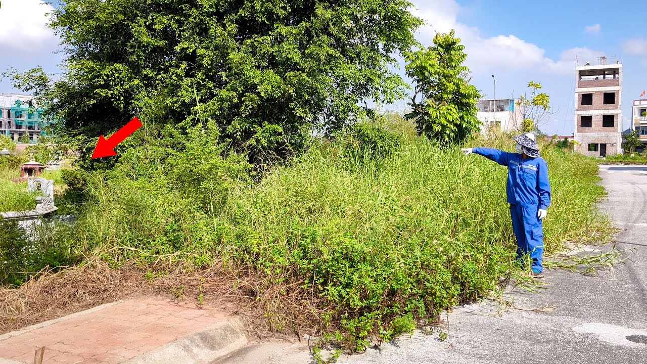 A Cemetery is Not Scary as An Abandoned Sidewalk Overgrown Weeds and Many Hidden Dangers