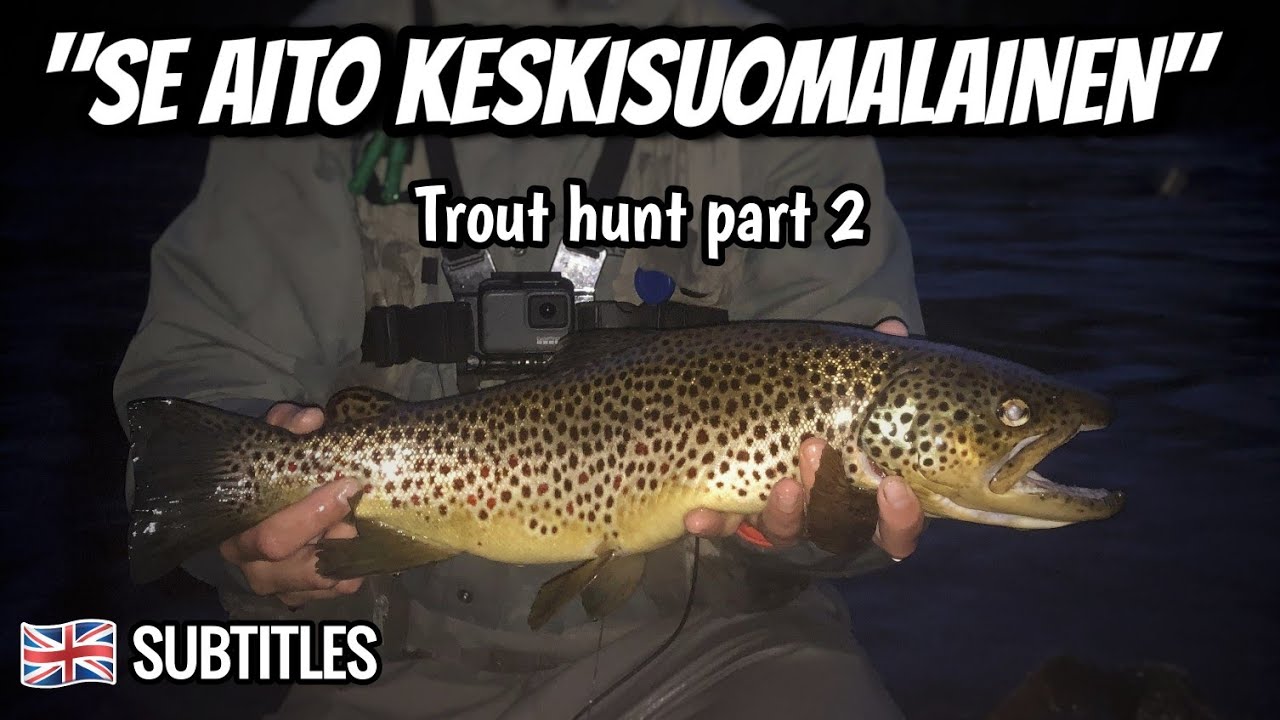 Taimenen perhokalastusta Keski-Suomessa | Fly fishing for brown trouts in Central Finland