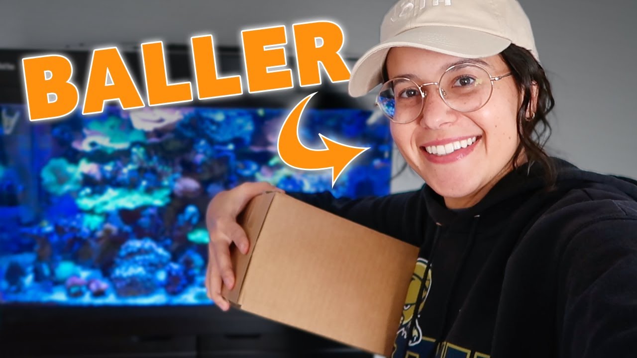 I Bought HIGH-END Corals off eBay