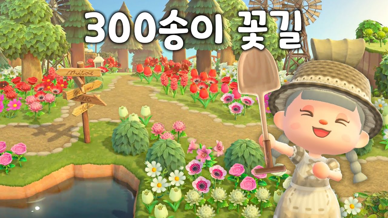 섬에 있는 모든 꽃 예쁘게 정리하기 대작전🌸