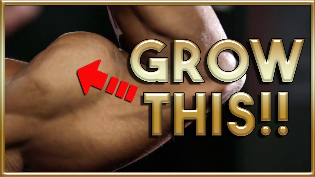MASSIVE BICEPS NOW! - Preacher Machine Tips by Moji!
