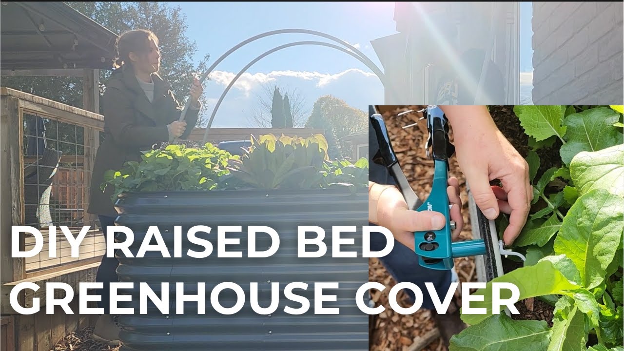 DIY Mini Greenhouse to Save Money on Food