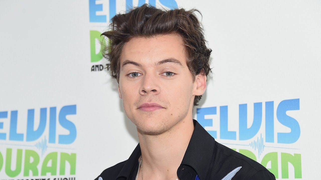 Harry Styles Producing TV Show Based On His Life Before 1D Fame