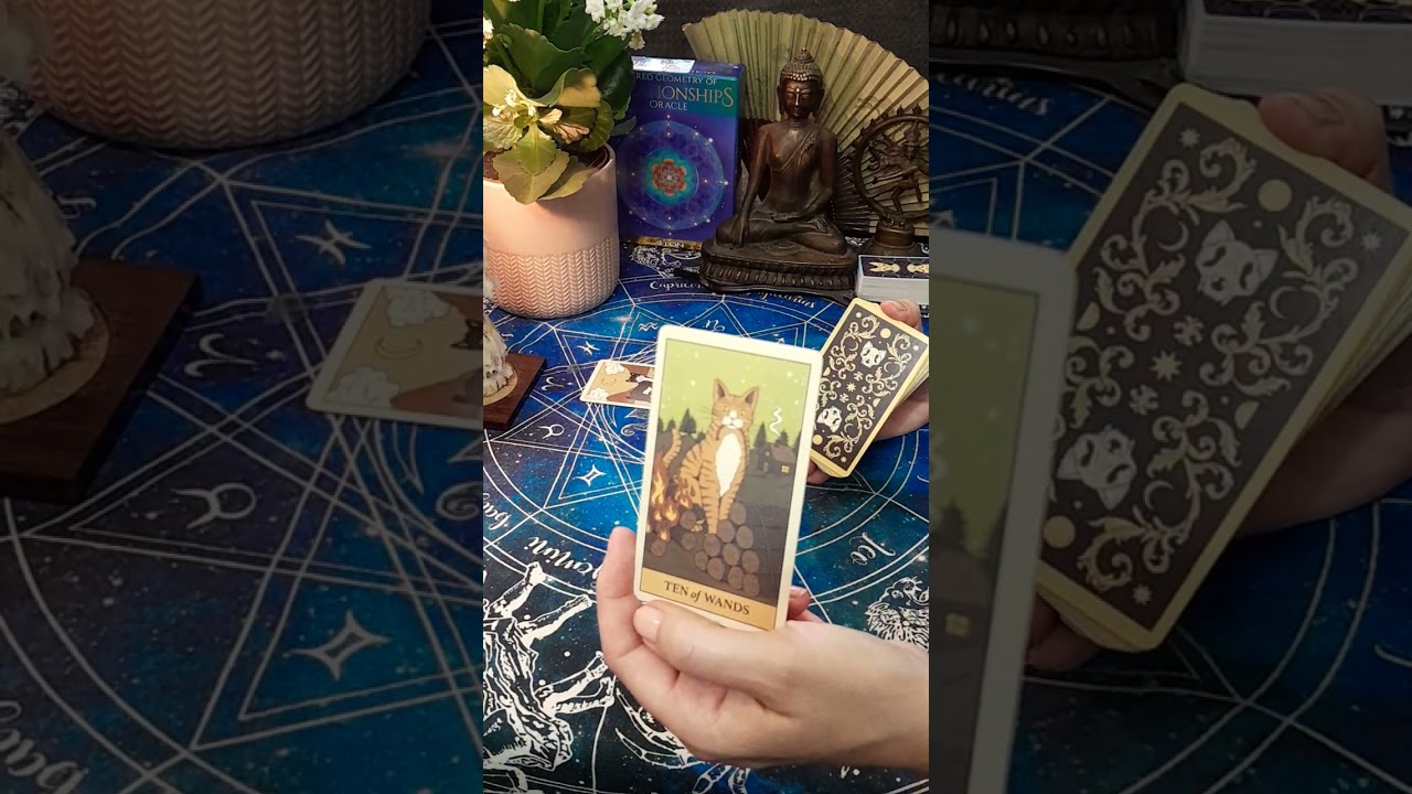 CANCER❤️♋️Who's coming? They will put more effort into this connection - don't want to lose you!