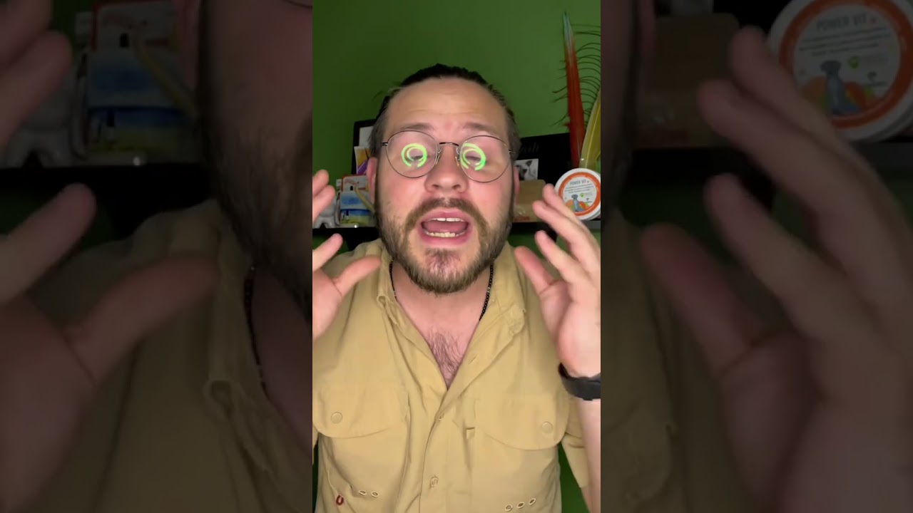 ASI SABES SI SON CROQUETAS BUENAS O MALAS!