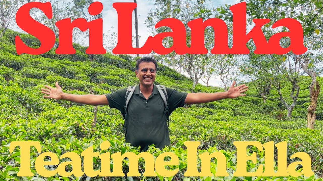Sri Lanka Ella Tea Ceylon Plantations Factory Pickers Halpewatte Scenic  Hill Country Mountain tops