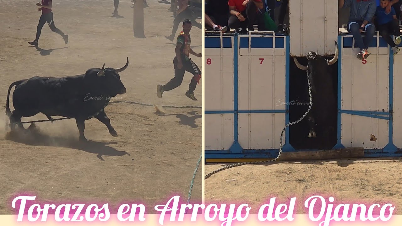 Arroyo del Ojanco 2025 Parte 2 - 24 de Abril 2025