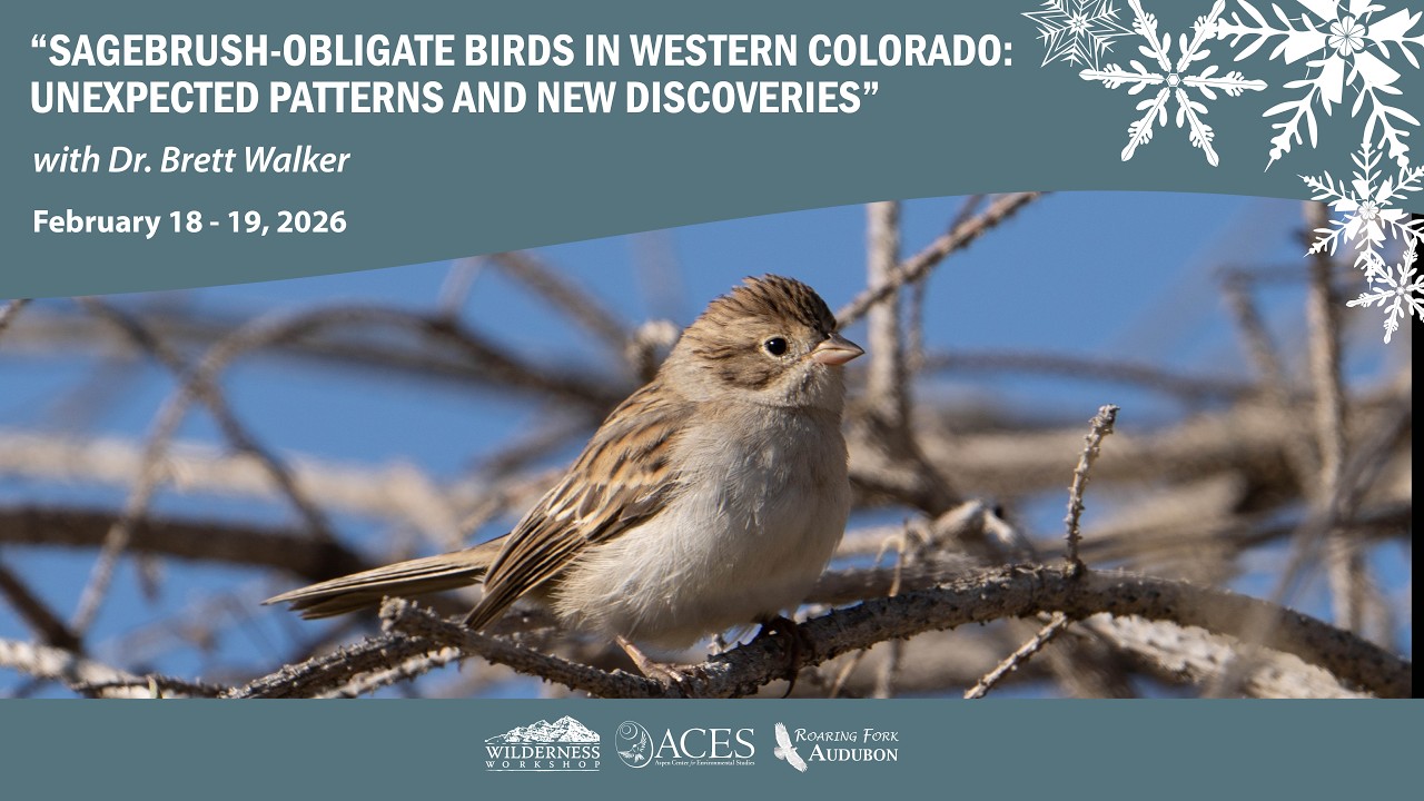 “Uncovering Sagebrush Ecosystems: Insights from Colorado’s Wildlife Research.”
