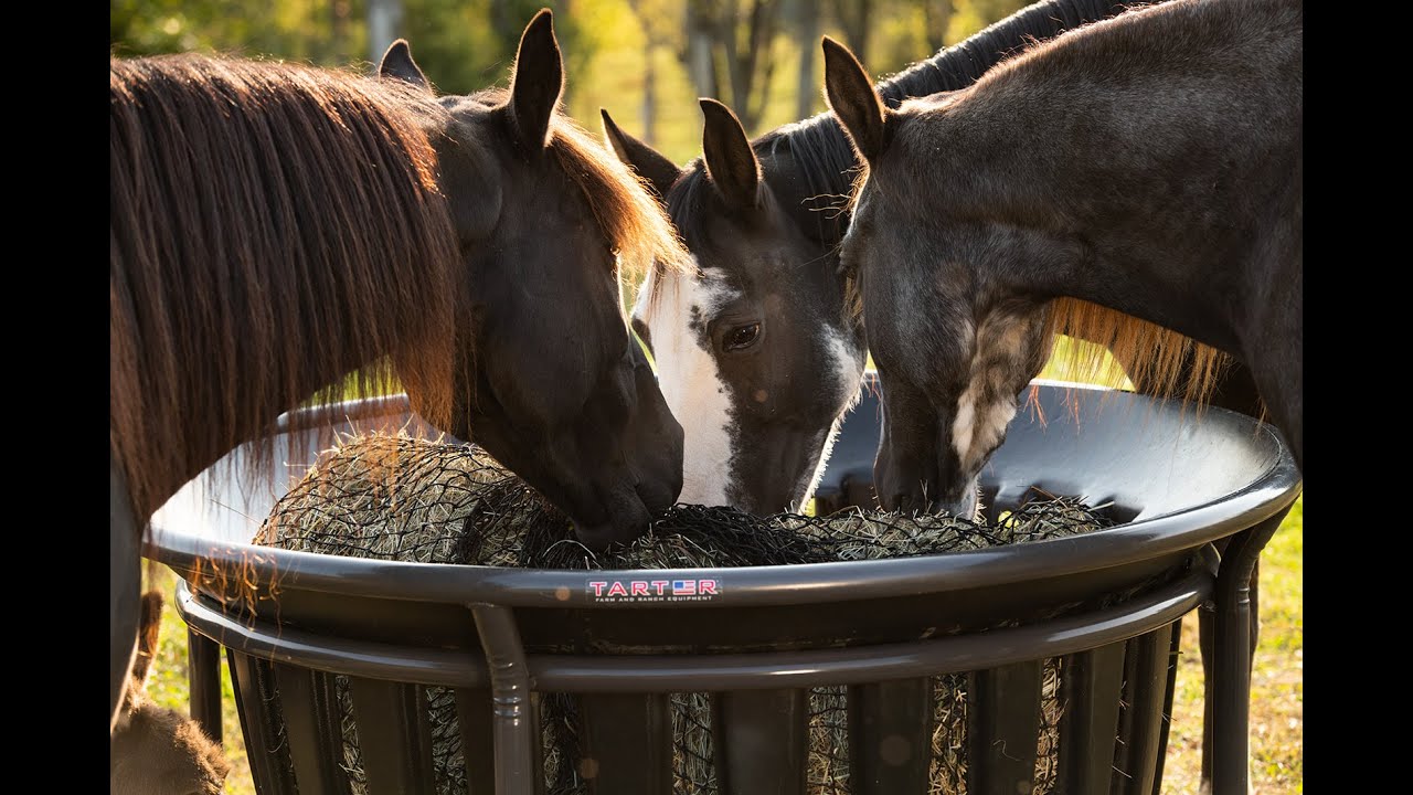 Hay Net Kit for Tarter Equine Hay Basket