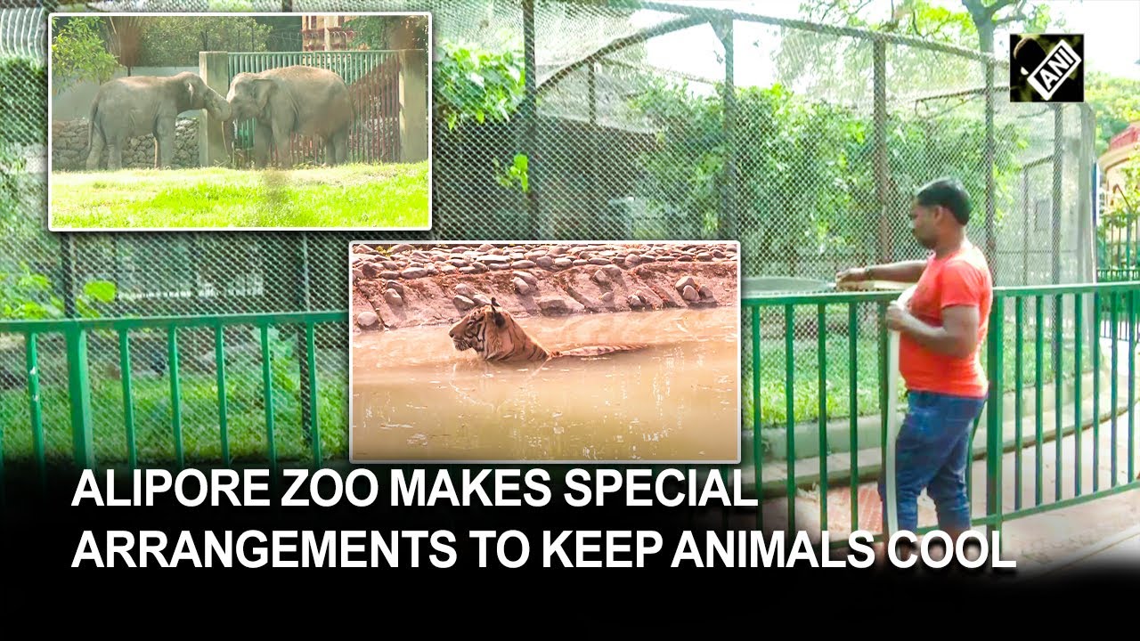 Alipore Zoo makes special arrangements to keep animals safe from summer