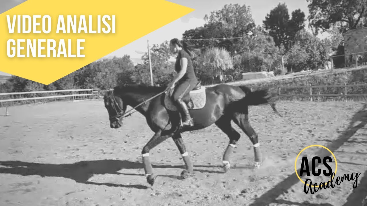 EQUITAZIONE: ANALISI DI UN BINOMIO AL TROTTO E GALOPPO