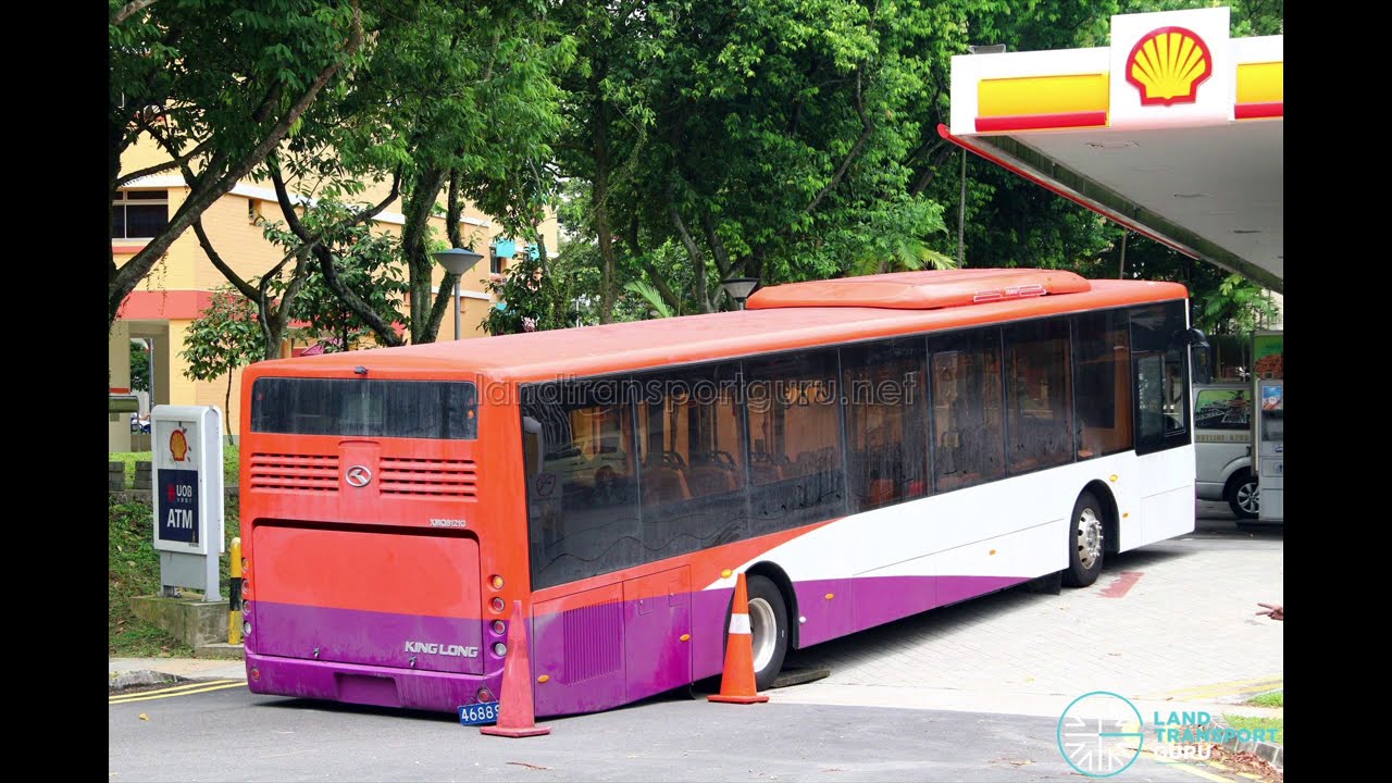 Rare Singapore Buses 🚌🇸🇬
