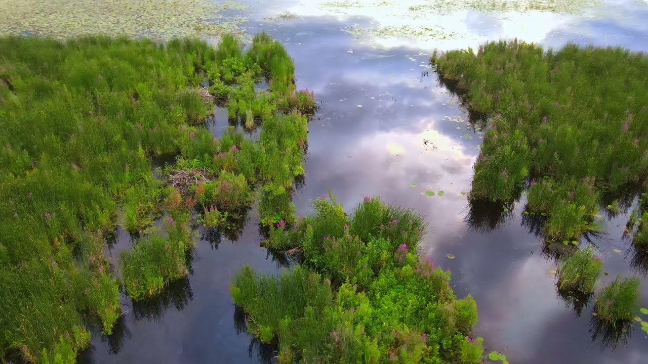 Concord River Compilation