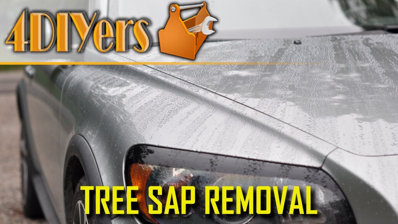 How to Remove Tree Sap from your Vehicle's Paint - 4 Different Methods