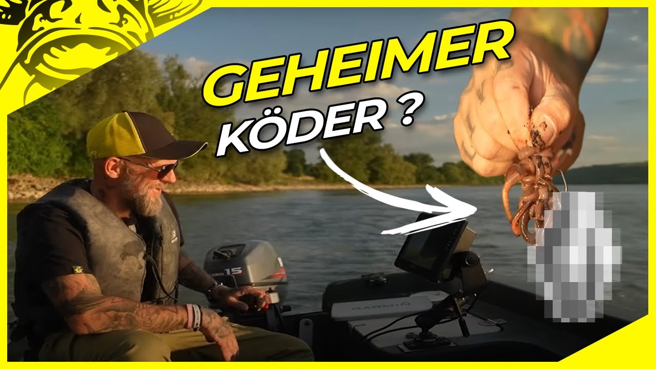 MONSTER WELS am Rhein?! So fängst du sie richtig | Wallerangeln in Deutschland mit Würmer am Fluss