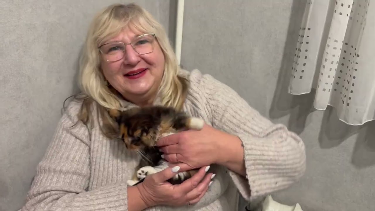   Веселая семейка🐱🐶🐱🦜