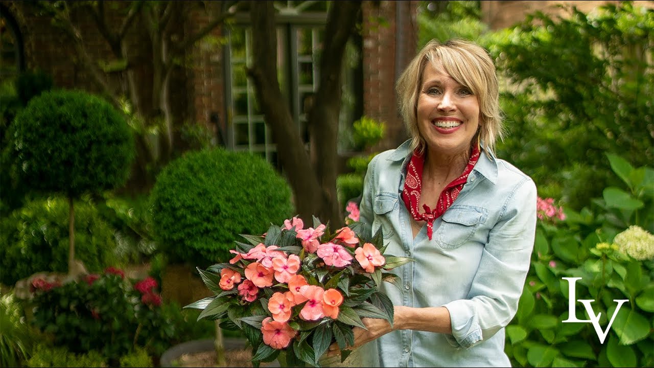 Garden Tour: Going to Pot
