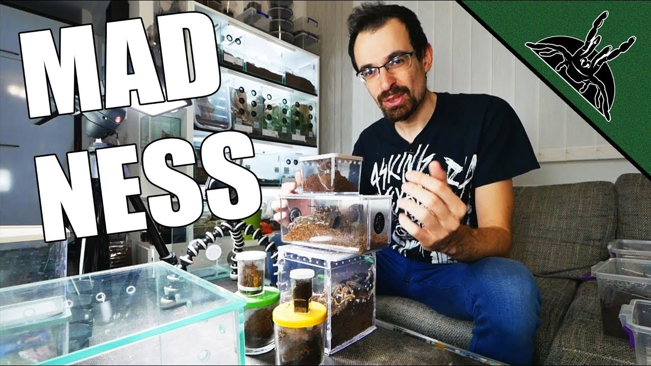 REHOUSE MADNESS 2!