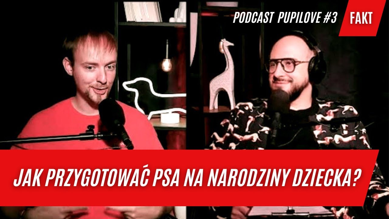 Pies i noworodek. Jak przygotować psa na NARODZINY NASZEGO dziecka? Michał Dąbrowski, behawiorysta