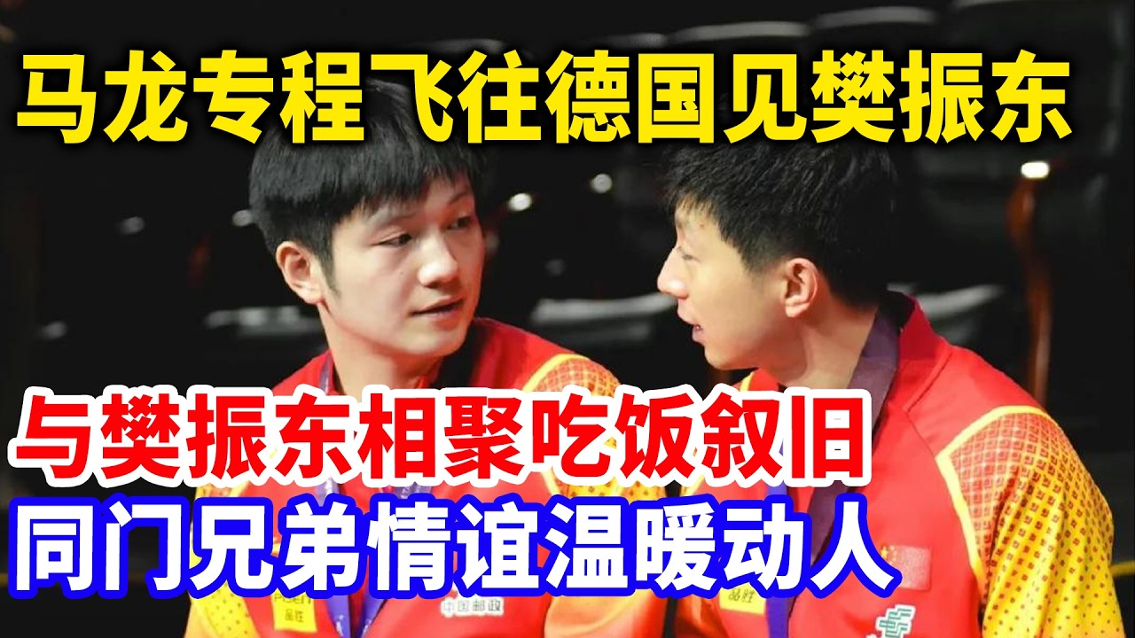 马龙连夜飞往德国，数声对不起向樊振东道歉。饭局微醺，两人情绪失控泪崩，马龙求小胖原谅：当年那样是逼不得已！#樊振东 #樊振东德甲 #马龙