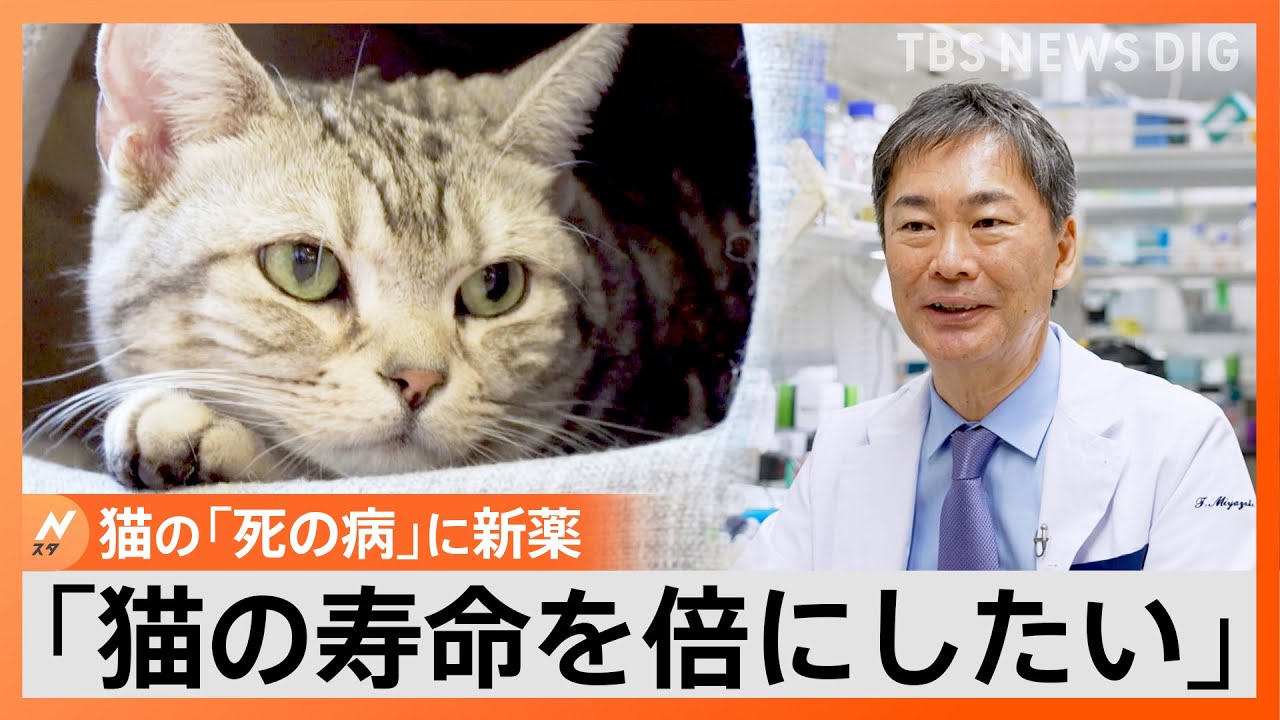 「1分1秒でも一緒にいたい…」余命2週間の「猫」が1年以上生き続けた？“夢の治療薬”開発の裏側【ゲキ推しさん】｜TBS NEWS DIG
