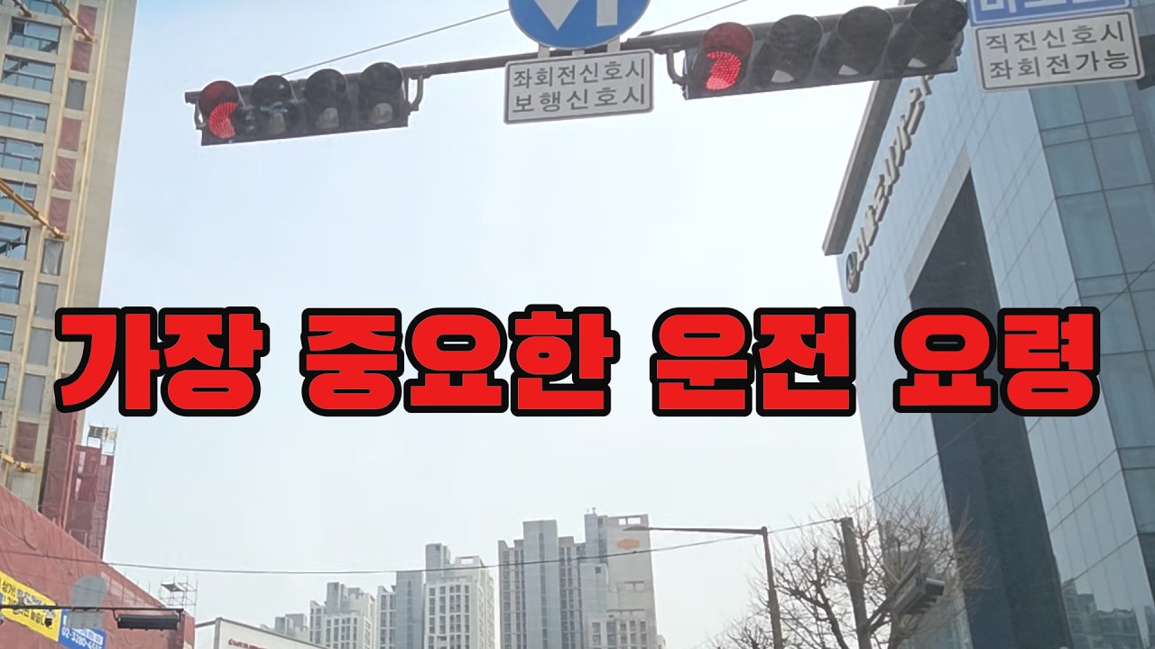 [초보탈출프로젝트]🚘가장 중요한 운전 요령💥눈이 쉴 틈이 없네