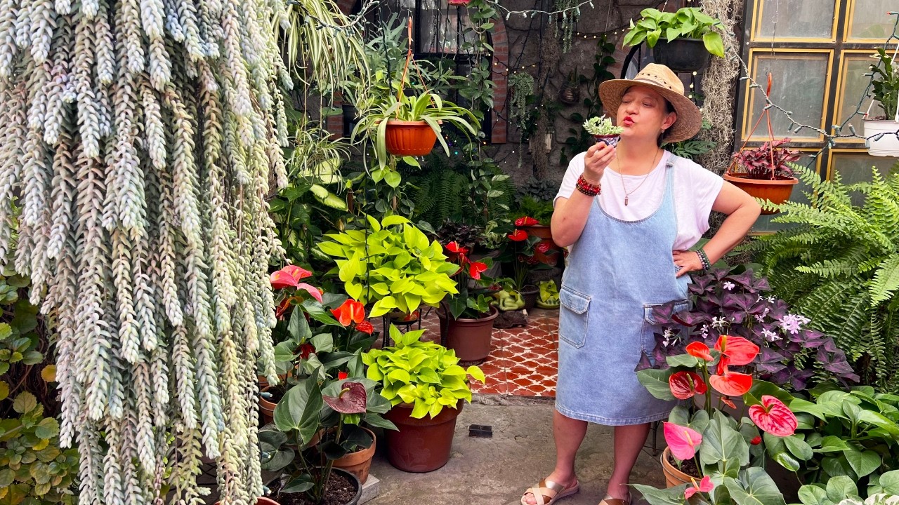 En este Recorrido te comparto los MEJORES TRUCOS para la Cola de Borrego