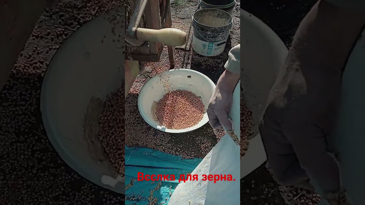 Вєєлка для зерна.