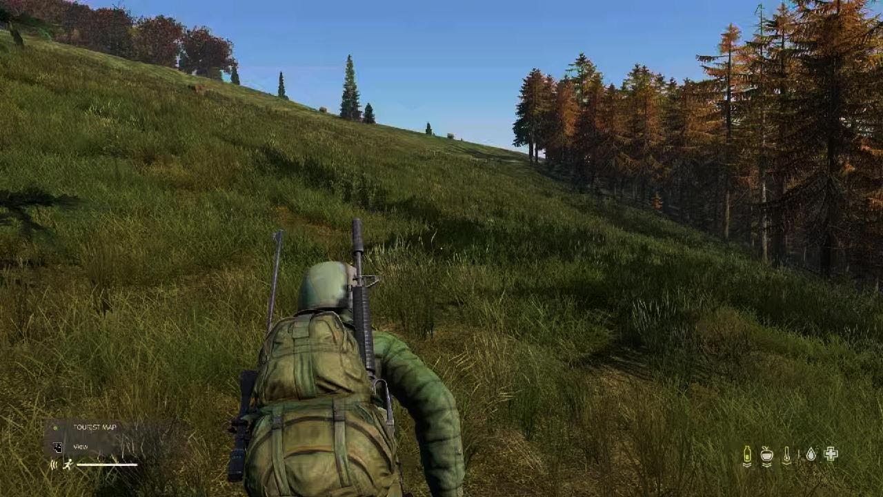 DayZ Fox Jump Scare