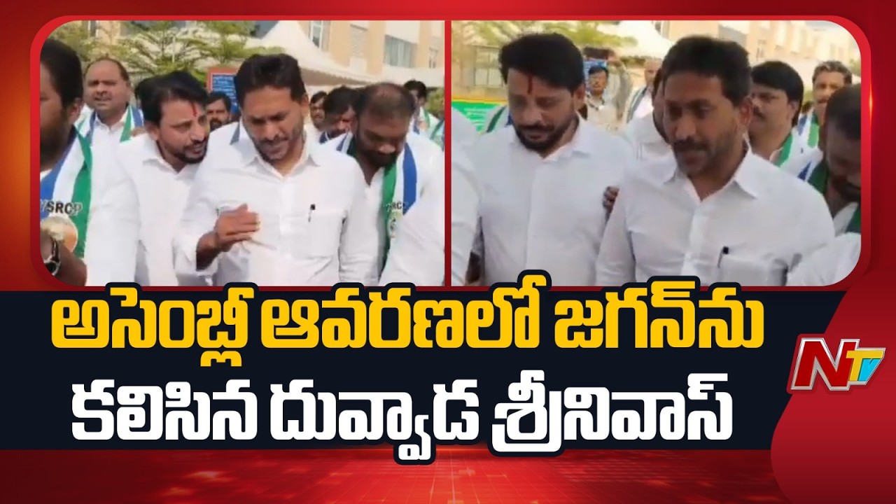 అసెంబ్లీ ఆవరణలో జగన్⁬ను కలిసిన దువ్వాడ శ్రీనివాస్ | Duvvada Srinivas Meet Ys Jagan at Assembly | NTV