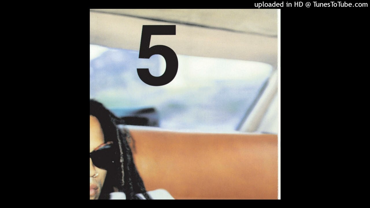 Lenny Kravitz - American Woman (DIY Instrumental)